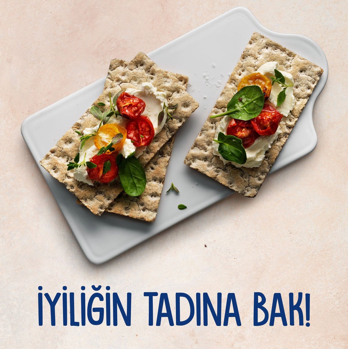 WASA DELİKATESS 270GR