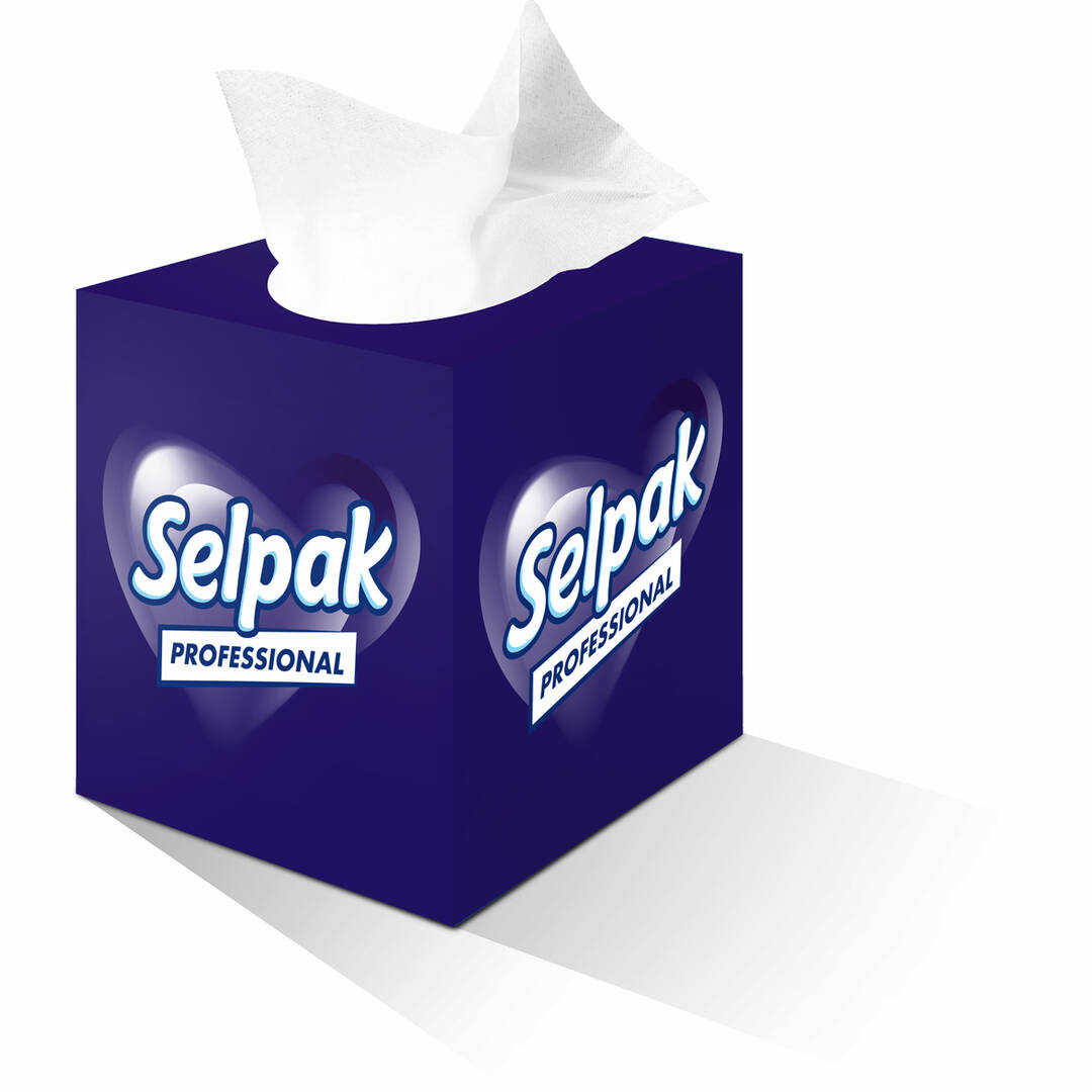 SELPAK PRO EXTRA BUTİK KUTU MENDİL 3 KATLI 48 YAPRAKLI 20 PKT