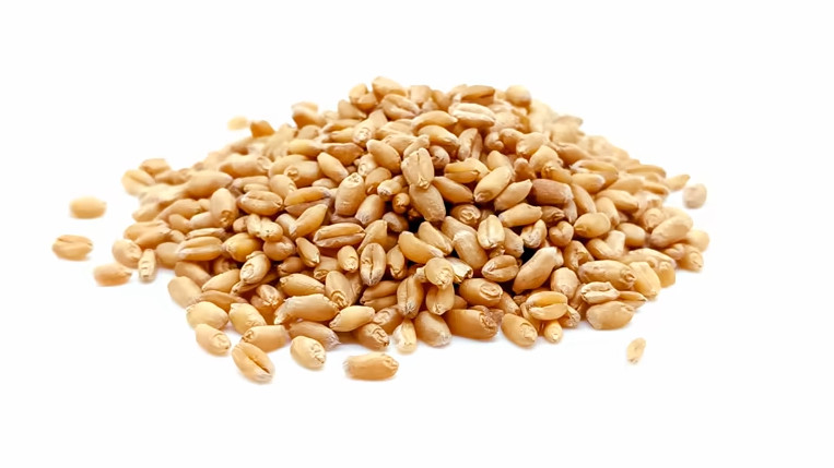 LEZZET AŞURELİK BUĞDAY 1KG